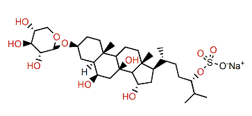 Pisasteroside B